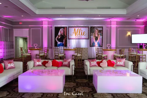 Valentines Day Themed Bat Mitzvah Lounge