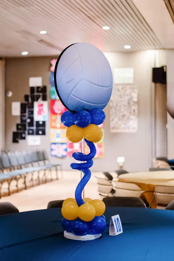 Volleyball Centerpiece