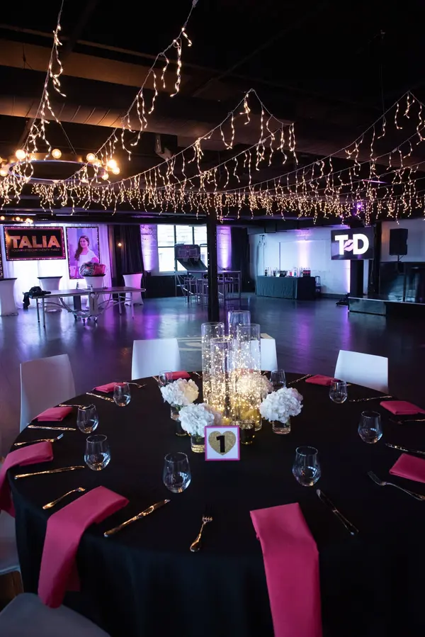 Fairy Light Ceiling Treatment