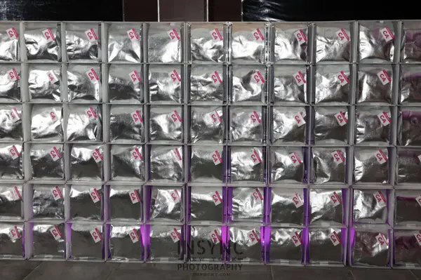 Silver Favor Bags