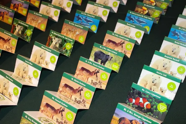 Animal Themed Place Cards