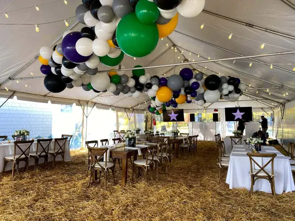 Ceiling Balloon Garland