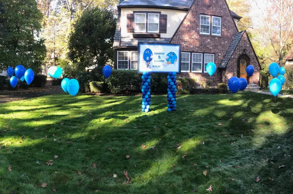 Balloon Scape