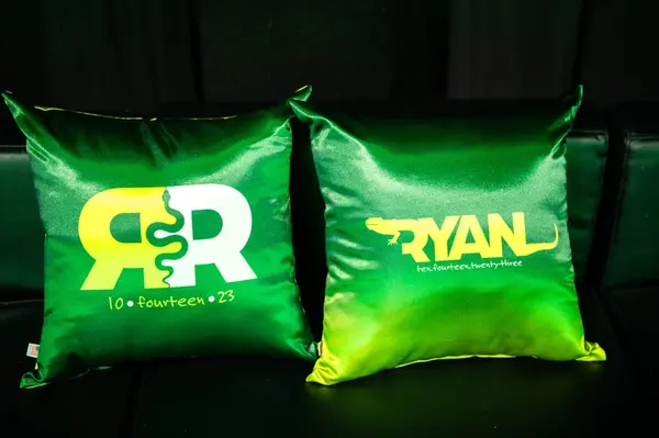 Ombre Green Pillows