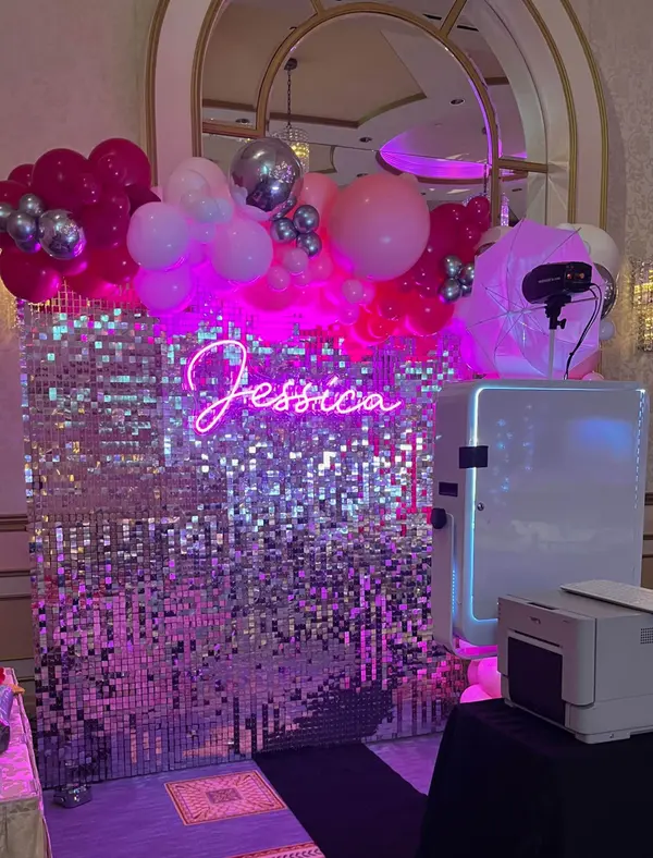Silver Bling Photo Backdrop