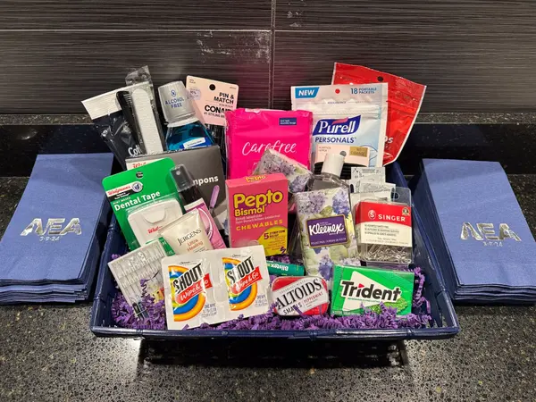 Ladies Room Basket