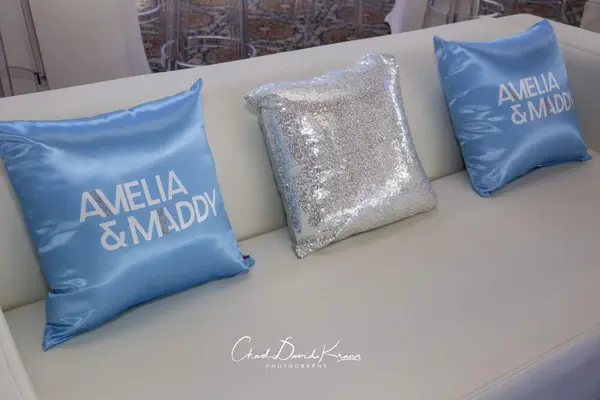 Pale Blue and Silver Logo Pillows