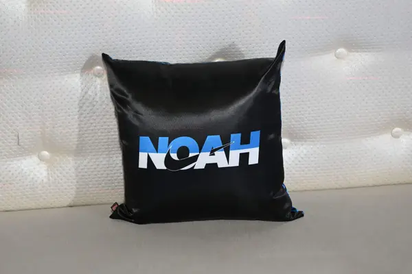 Logo Lounge Pillow