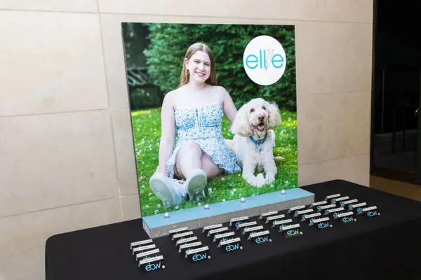 Blow Up Photo Display