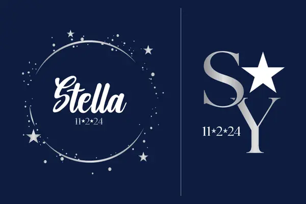 Galaxy Starry Night Logo