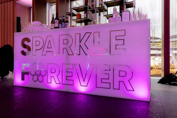 Sparkle Forever LED bar with daisy logo at Serena's Bat Mitzvah
