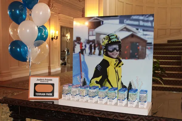Ski Themed Display
