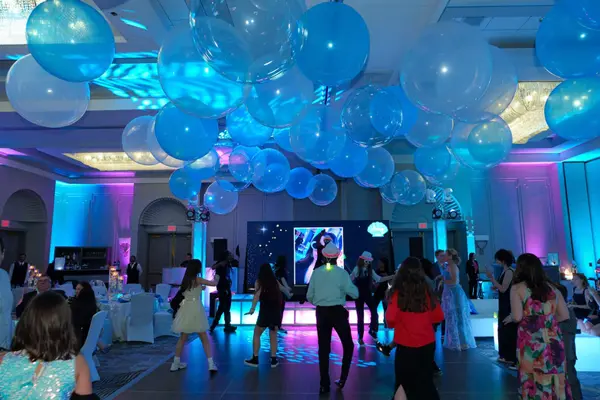 Bubble Ceiling Balloons