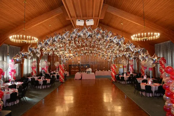 Hot Pink and Silver Balloon Canopy