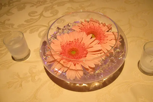 Gerber Daisy Cocktail Centerpiece