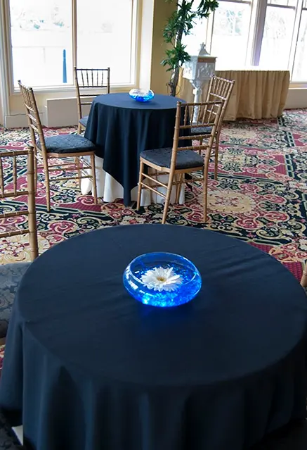Gerber Daisy Cocktail Centerpiece
