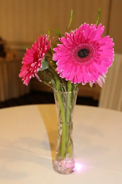 Gerber Daisy Cocktail Centerpiece