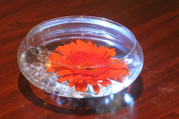 Gerber Daisy Cocktail Centerpiece