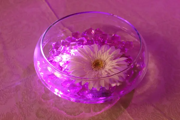 Gerber Daisy Cocktail Centerpiece