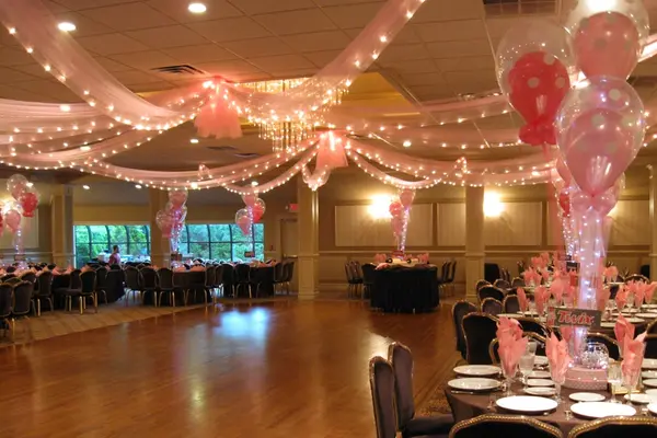Pink Tulle with Lights Draping