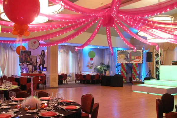 Hot Pink Organza Draping