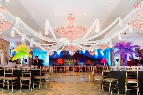 Silver Organza over Ceiling
