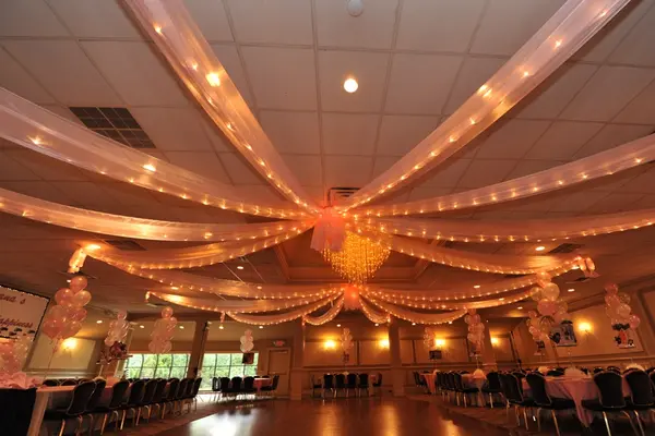 Pink Sparkle Organza