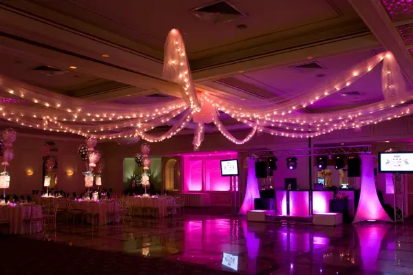 Pink Tulle with Lights