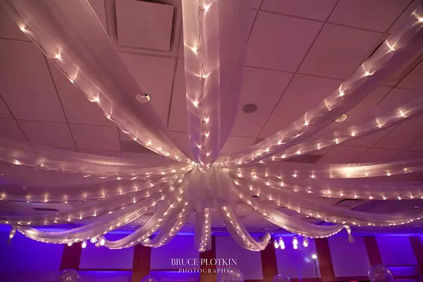 Silver Sparkle Organza Swag Over Ceiling