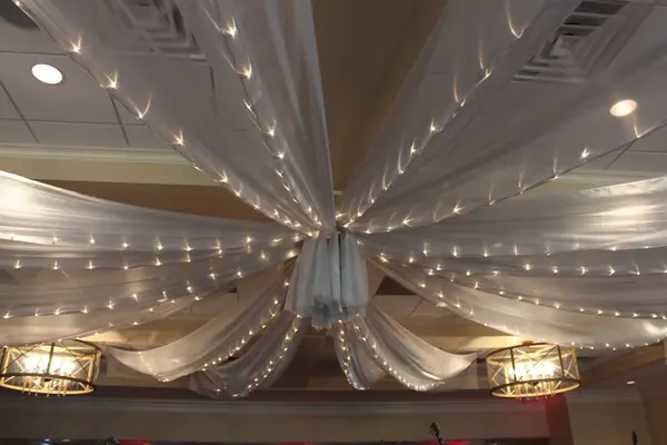 Silver Sparkle Organza over Dance Floor