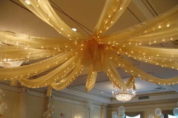 Gold Organza Draping