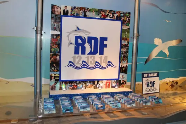 Shark Themed Display