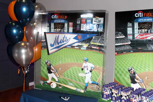 Mets Baseball Shadow Box Sign in Board