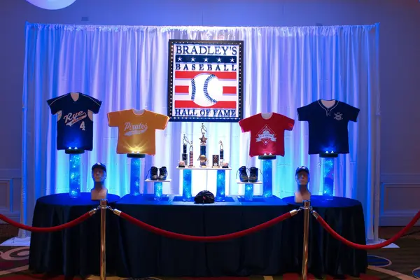 Baseball Hall of Fame Display
