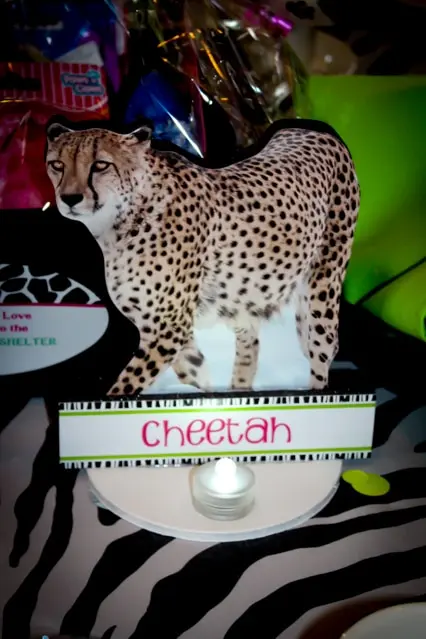 Cheetah Table Sign