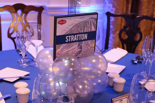 Balloon Centerpiece Base