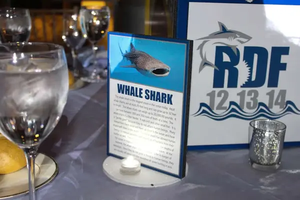 Shark Themed Table Sign