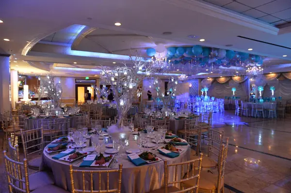 Winter Themed Bat Mitzvah