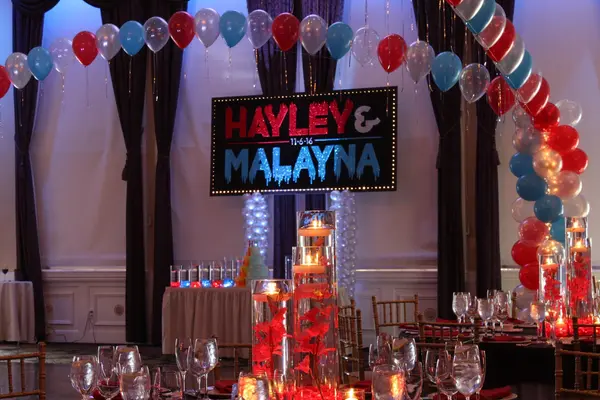 Fire & Ice Themed Backdrop