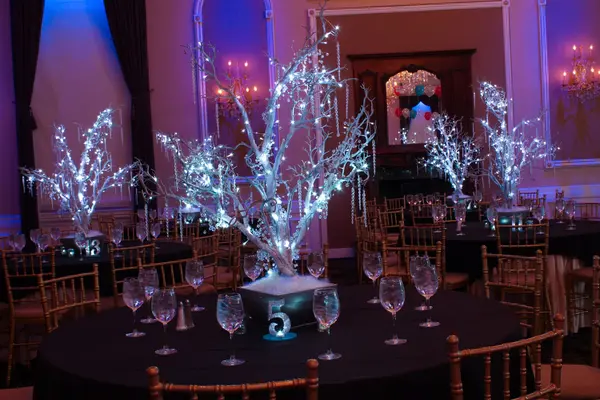 LED Winter Trees