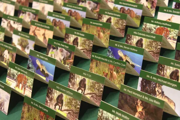 Animal Themed Place Cards