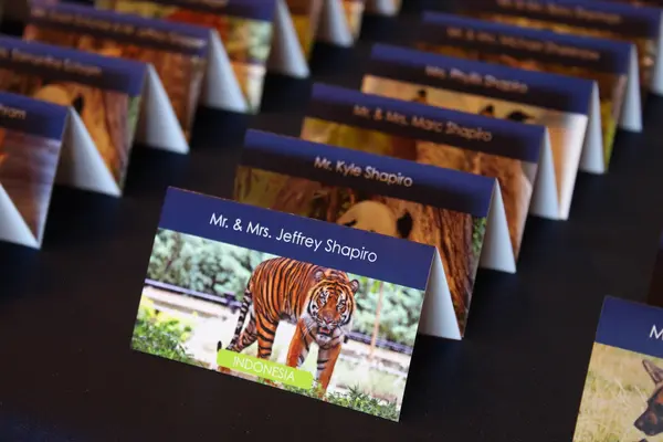 Animal Themed Place Cards
