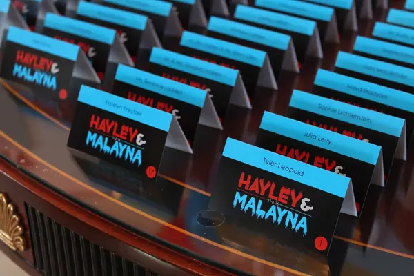 Fire and Ice Logo Place Cards