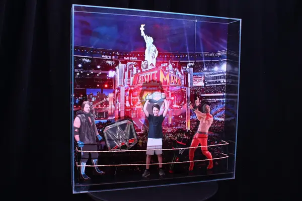 Wrestling Themed Shadow Box