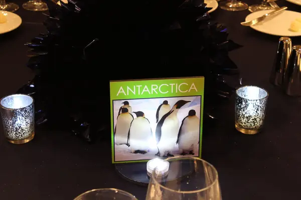Animal Themed Table Signs