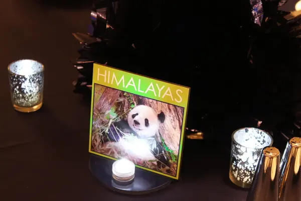 Animal Themed Table Signs