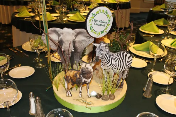Animal Planet Centerpiece