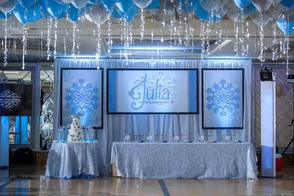 Winter Themed Backdrop