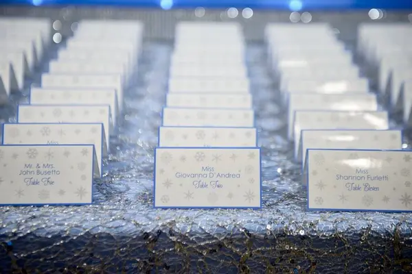 Winter Themed Place Cards