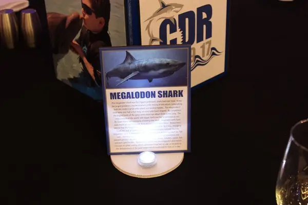 Shark Themed Table Sign